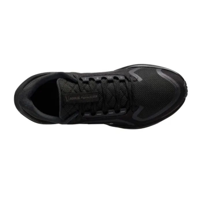 Best Sale Nike Pegasus 41 Gore-Tex Zwart