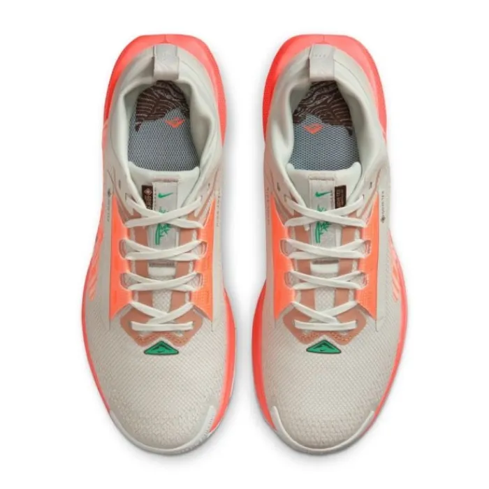 Outlet Nike Pegasus Trail 5 Gore-Tex Zilver