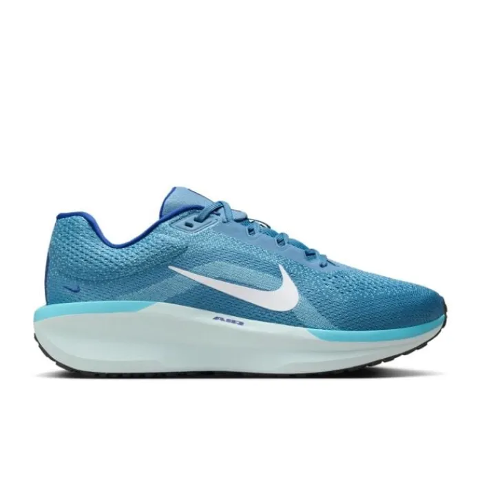 Shop Nike Winflo 11 Blauw