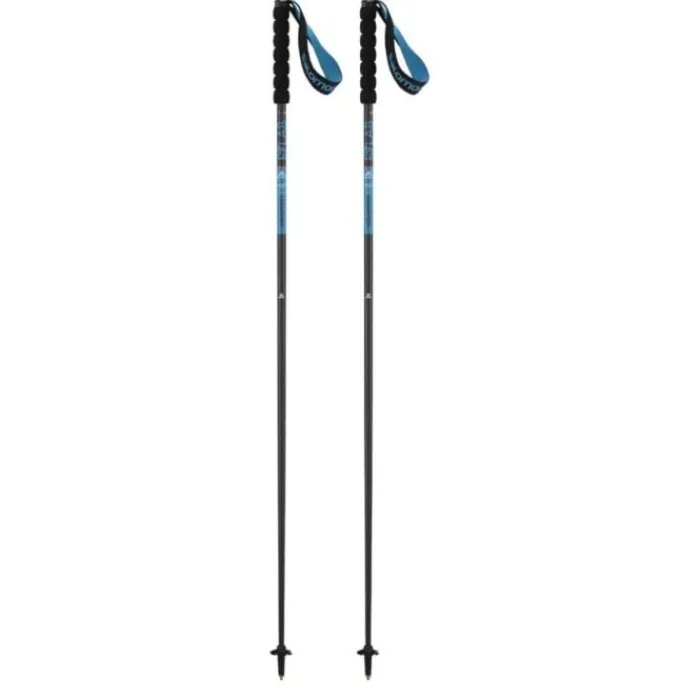 Shop Salomon Sense Poles Zwart