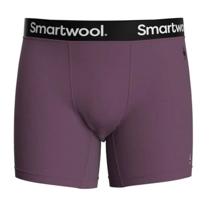 Shop Smartwool Merino Sport Boxer Breif Boxed Violet